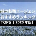 茨城の転職エージェントおすすめランキングTOP6【2025年版】
